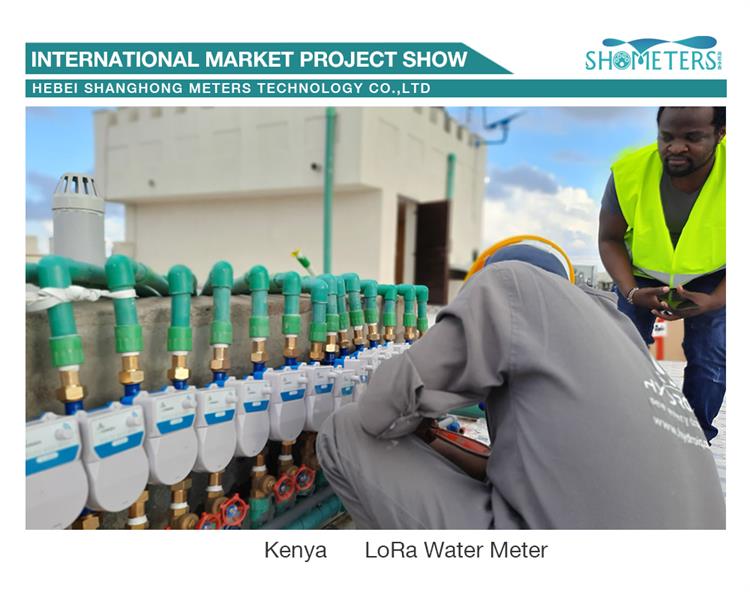 Smart Water Meter Solutions in Kenya